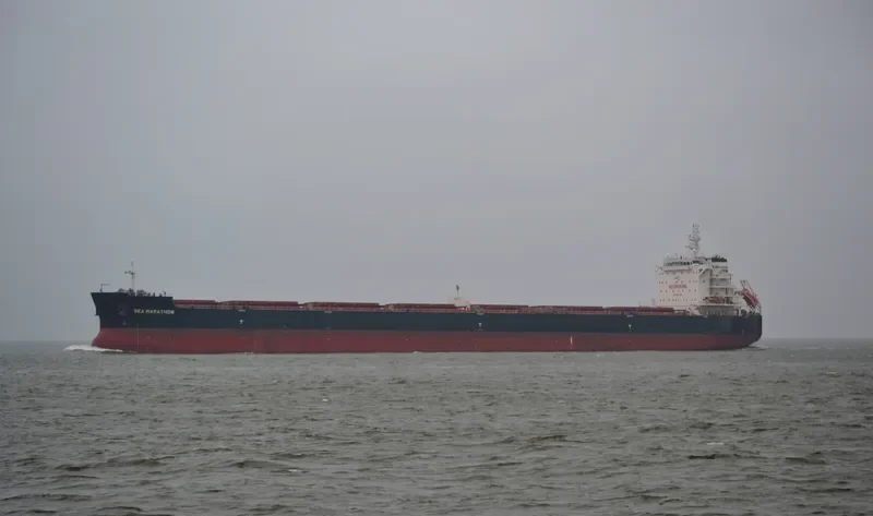 SEA MARATHON Bulk Carrier IMO 9611943 photo 4