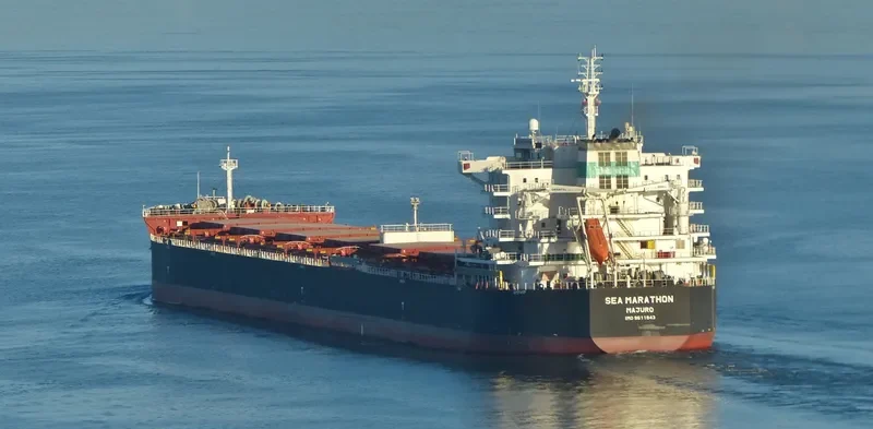 SEA MARATHON Bulk Carrier IMO 9611943 photo 7