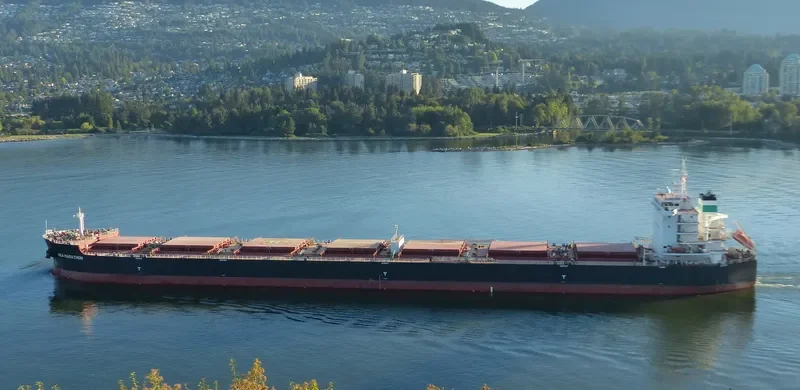 SEA MARATHON Bulk Carrier IMO 9611943 photo 8