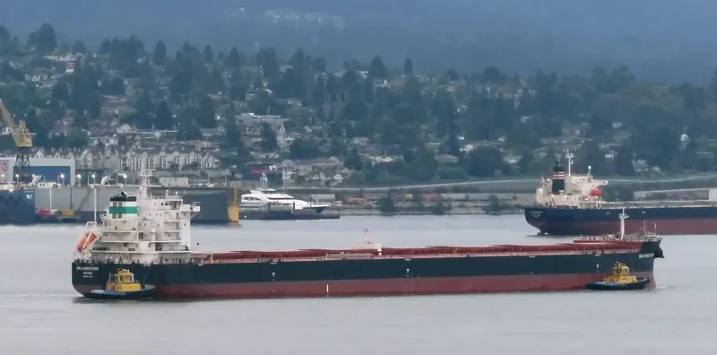 SEA MARATHON Bulk Carrier IMO 9611943 photo 9