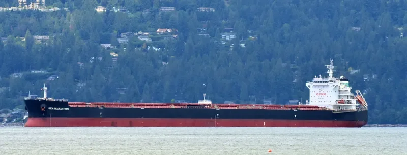 SEA MARATHON Bulk Carrier IMO 9611943 photo 10