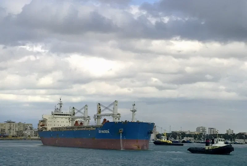 ER MADEN Bulk Carrier IMO 9611993 photo 4