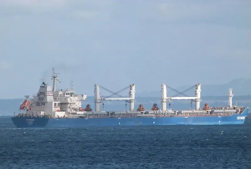 ER MADEN Bulk Carrier IMO 9611993 photo 9