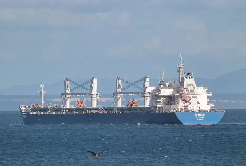 ER MADEN Bulk Carrier IMO 9611993 photo 10
