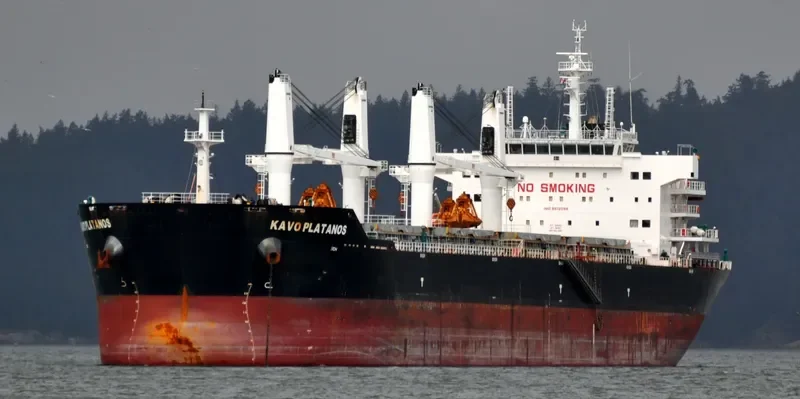 KAVO PLATANOS Bulk Carrier IMO 9612088 photo 5