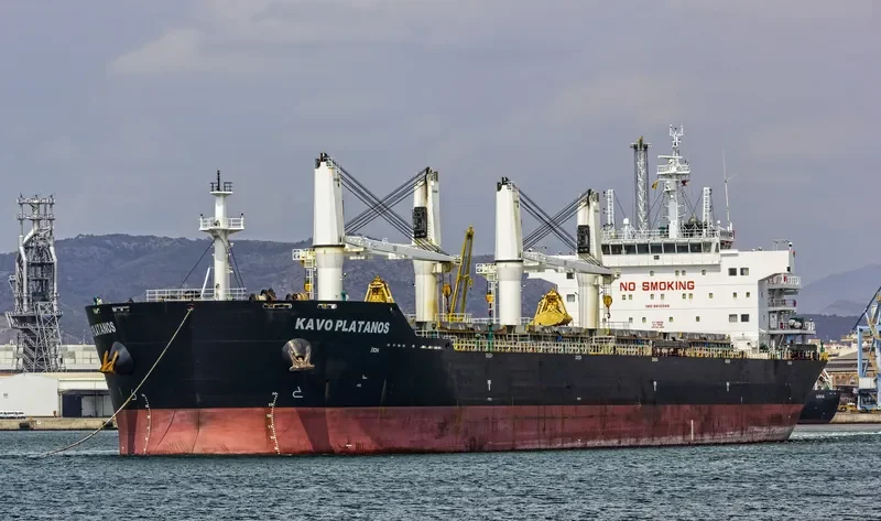 KAVO PLATANOS Bulk Carrier IMO 9612088 photo 7