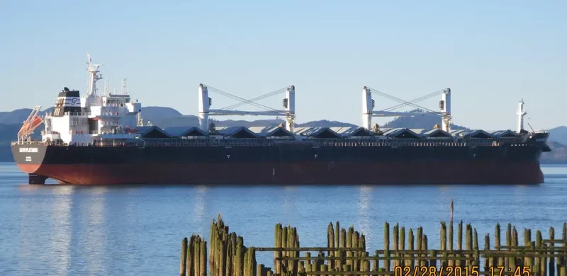 KAVO PLATANOS Bulk Carrier IMO 9612088 photo 28