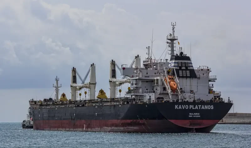KAVO PLATANOS Bulk Carrier IMO 9612088 photo 35