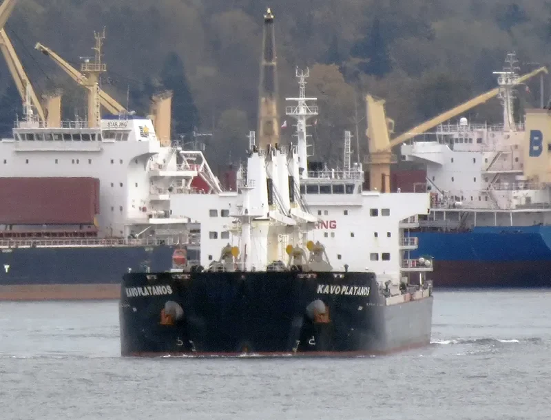 KAVO PLATANOS Bulk Carrier IMO 9612088 photo 39