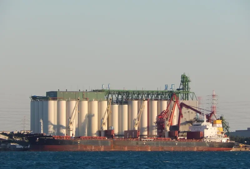 SEASTAR VENTURE Bulk Carrier IMO 9612155 photo 2