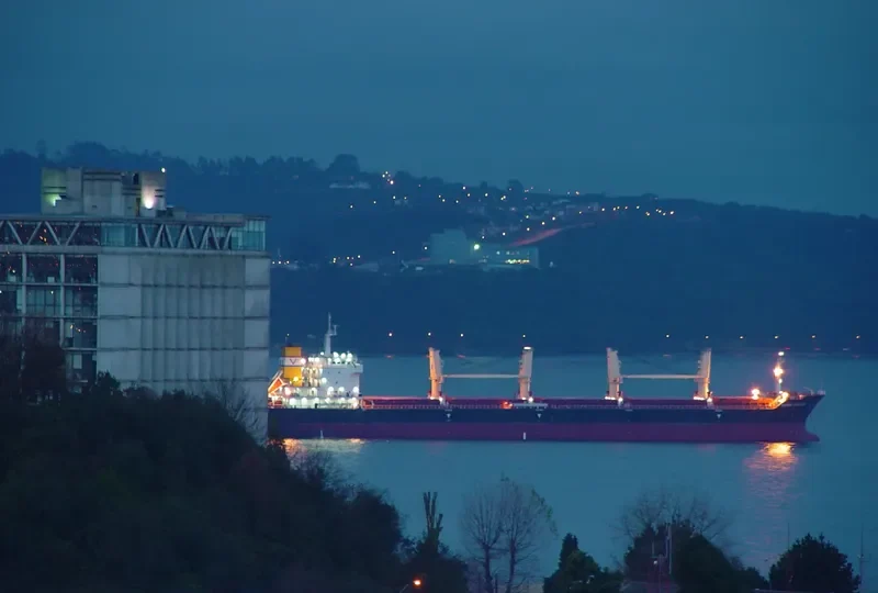 SEASTAR VENTURE Bulk Carrier IMO 9612155 photo 6