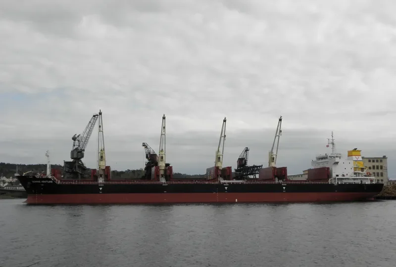 SEASTAR VENTURE Bulk Carrier IMO 9612155 photo 10