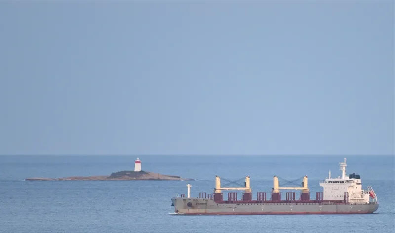 SEASTAR VICTORY Bulk Carrier IMO 9612246 photo 8
