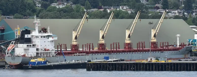 SEASTAR VICTORY Bulk Carrier IMO 9612246 photo 9