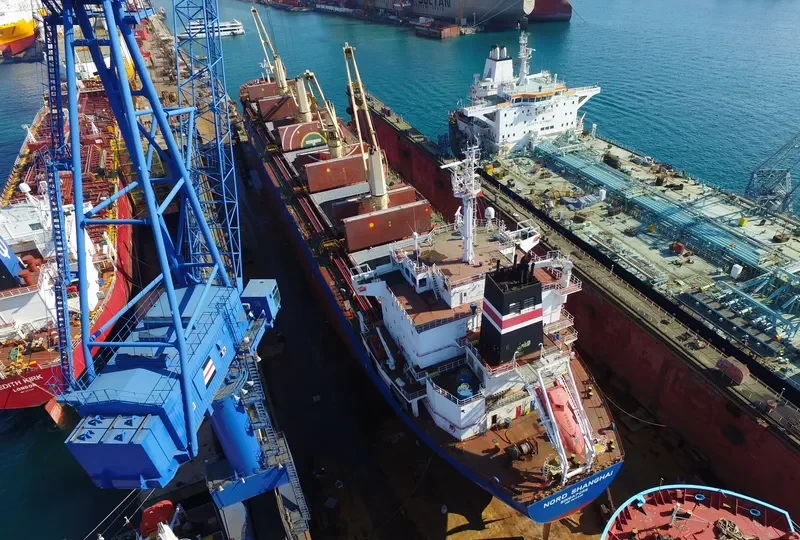 IMAVERE Bulk Carrier IMO 9612325