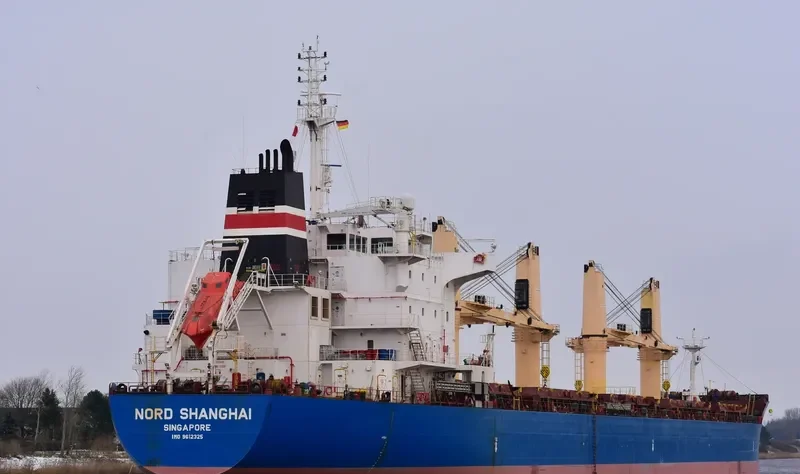 IMAVERE Bulk Carrier IMO 9612325 photo 7