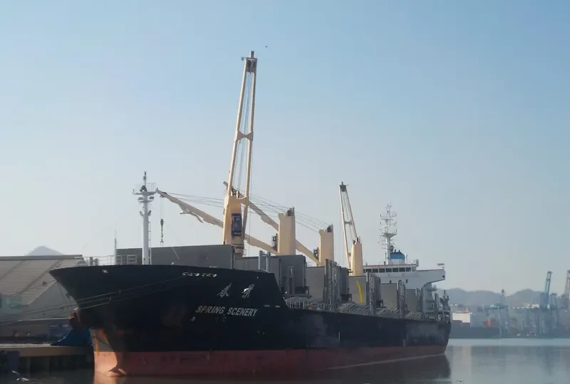 DELOS Bulk Carrier IMO 9612375
