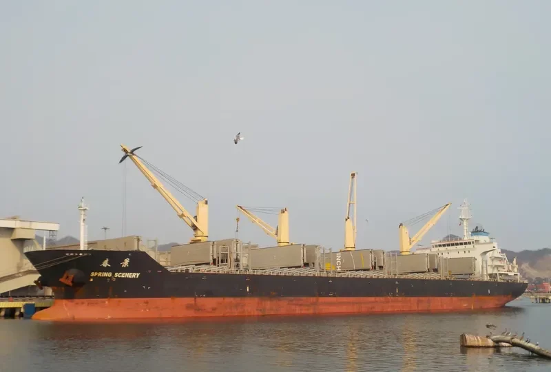 DELOS Bulk Carrier IMO 9612375 photo 2