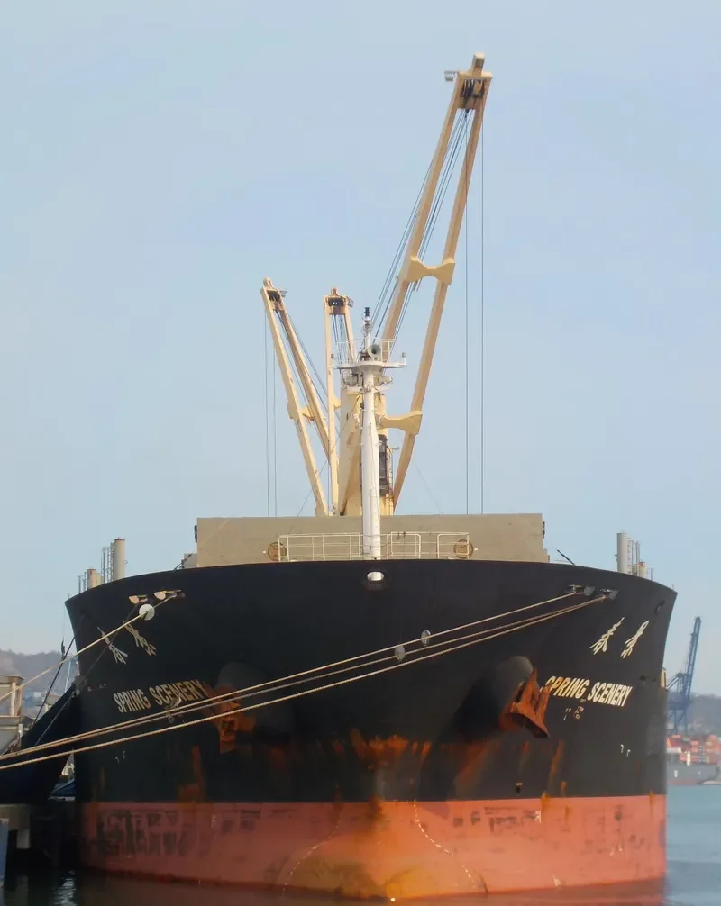 DELOS Bulk Carrier IMO 9612375 photo 3