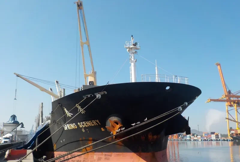 DELOS Bulk Carrier IMO 9612375 photo 4