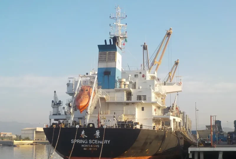 DELOS Bulk Carrier IMO 9612375 photo 5
