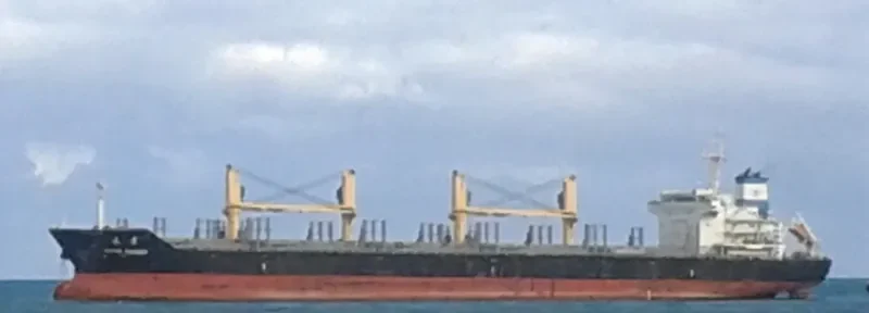 DELOS Bulk Carrier IMO 9612375 photo 6