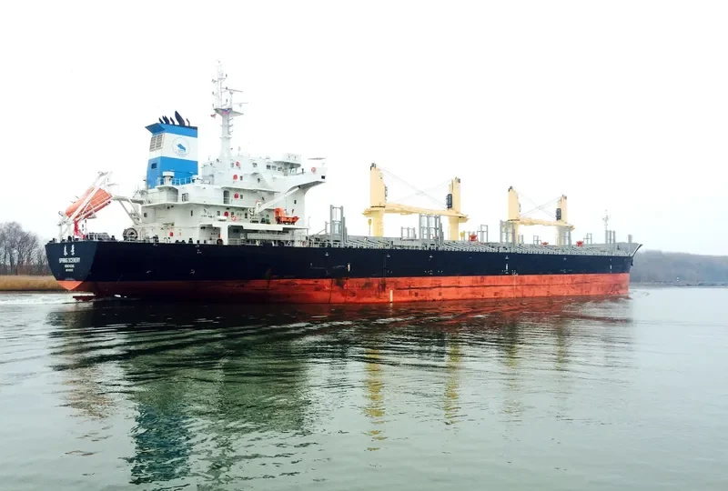 DELOS Bulk Carrier IMO 9612375 photo 7