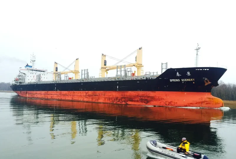 DELOS Bulk Carrier IMO 9612375 photo 8