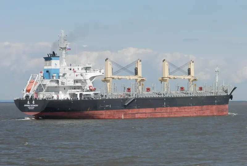 DELOS Bulk Carrier IMO 9612375 photo 9