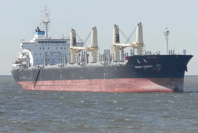 DELOS Bulk Carrier IMO 9612375 photo 10