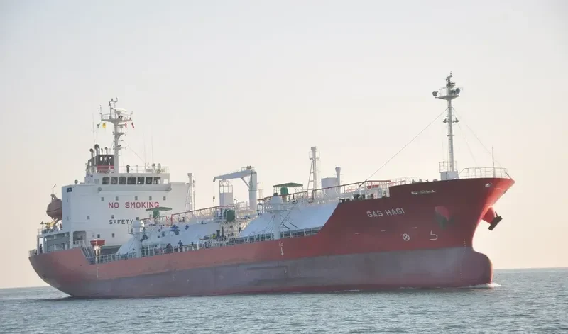 GAZ DYNAMIC General Cargo IMO 9612844 photo 7