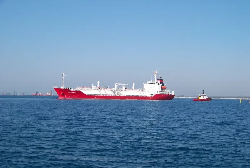 GAZ DYNAMIC General Cargo IMO 9612844 photo 9