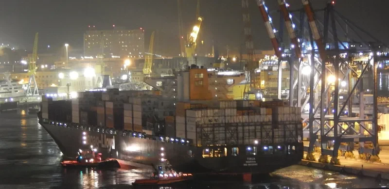TIRUA Container Ship IMO 9612882