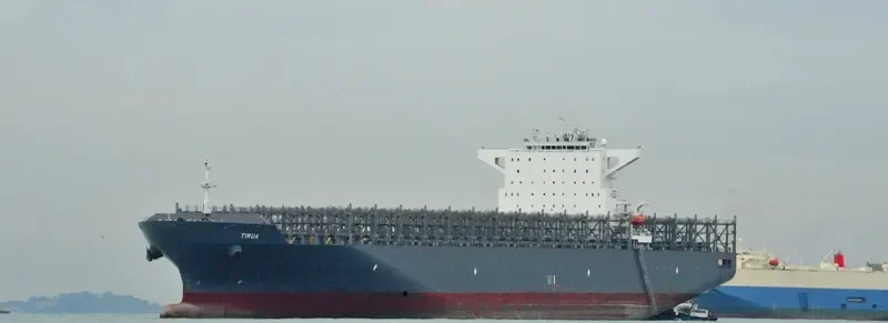 TIRUA Container Ship IMO 9612882 photo 10
