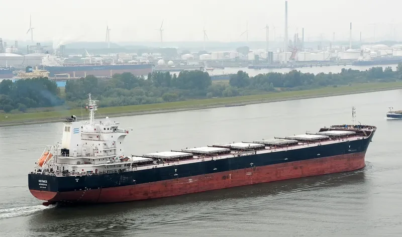 HERMES Bulk Carrier IMO 9613056 photo 8