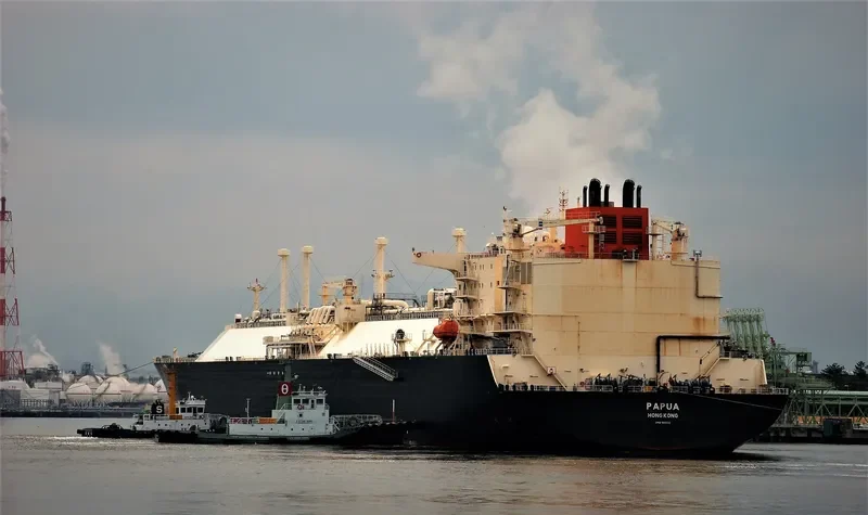 PAPUA General Cargo IMO 9613135