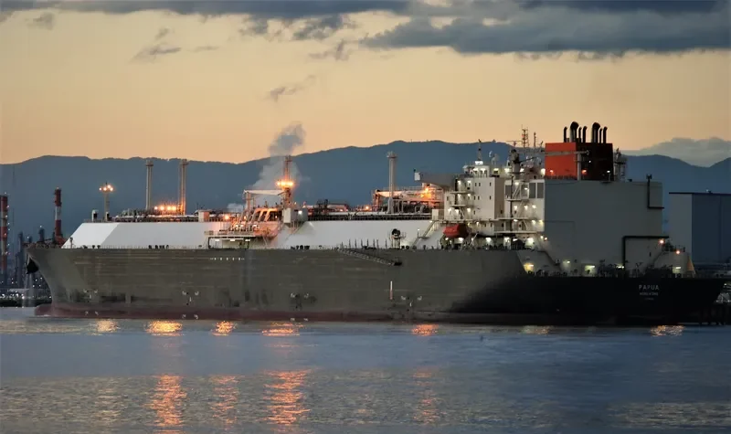 PAPUA General Cargo IMO 9613135 photo 2