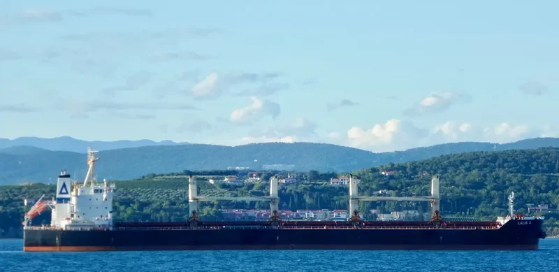 FU HAI HONG Bulk Carrier IMO 9613666 photo 2