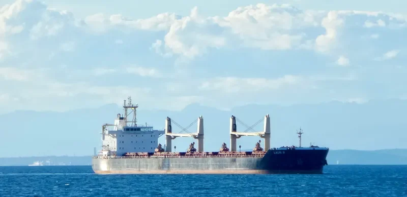 FU HAI HONG Bulk Carrier IMO 9613666 photo 3