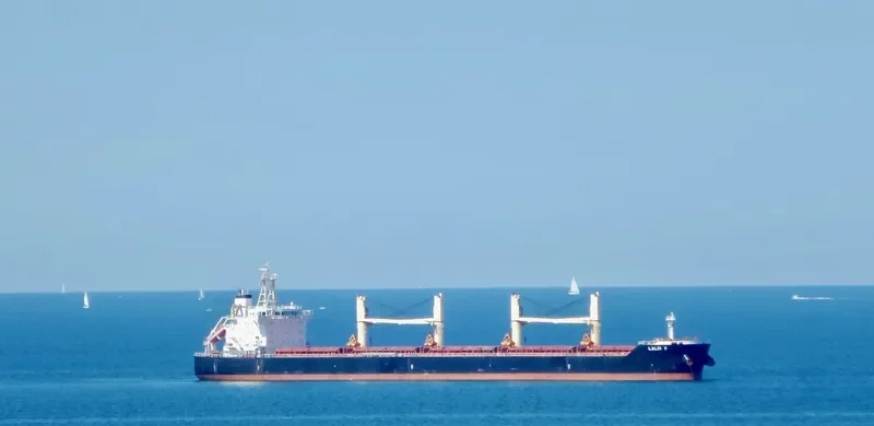 FU HAI HONG Bulk Carrier IMO 9613666 photo 4