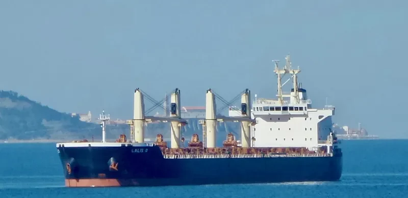 FU HAI HONG Bulk Carrier IMO 9613666 photo 5
