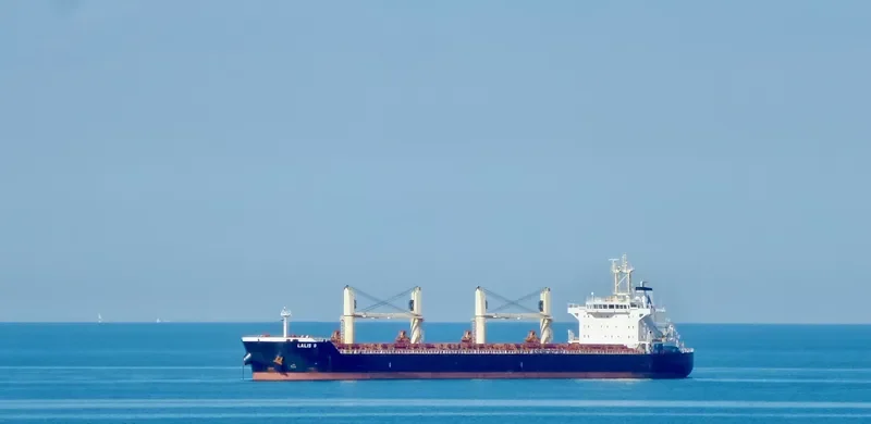 FU HAI HONG Bulk Carrier IMO 9613666 photo 6