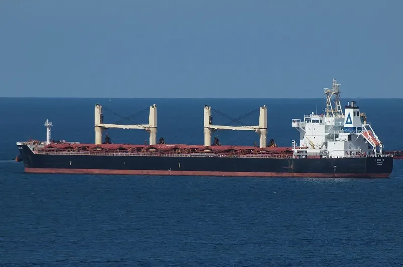 FU HAI HONG Bulk Carrier IMO 9613666 photo 7
