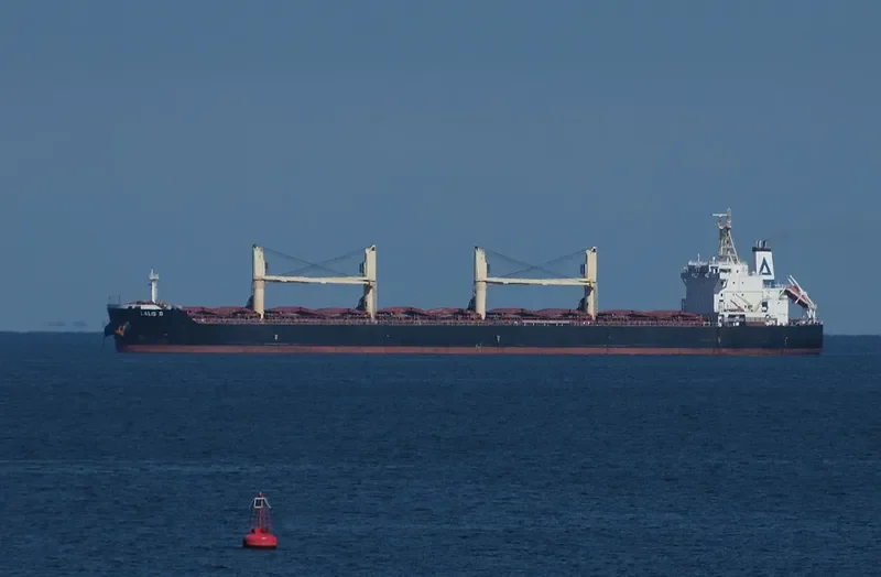 FU HAI HONG Bulk Carrier IMO 9613666 photo 8