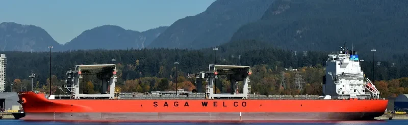 SAGA FALCON Container Ship IMO 9613848 photo 2