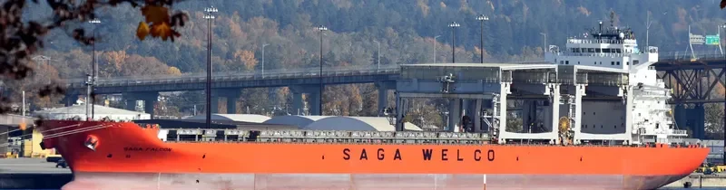 SAGA FALCON Container Ship IMO 9613848 photo 3