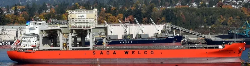 SAGA FALCON Container Ship IMO 9613848 photo 5