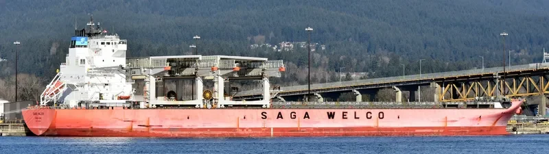 SAGA FALCON Container Ship IMO 9613848 photo 8