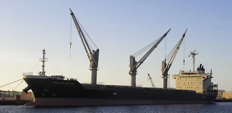 STELLAR BALTIC Bulk Carrier IMO 9614347 photo 3