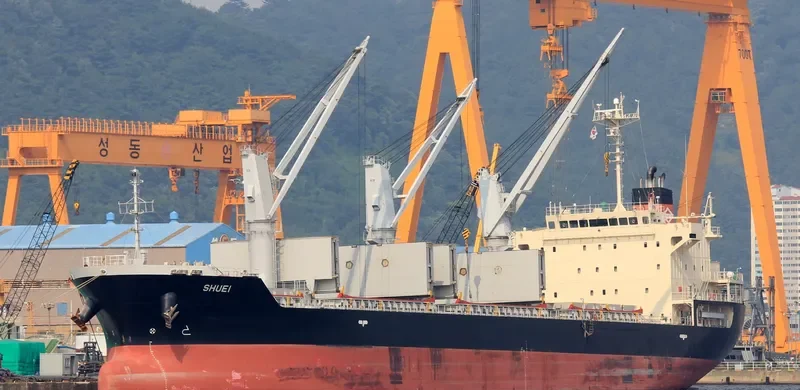 STELLAR BALTIC Bulk Carrier IMO 9614347 photo 4